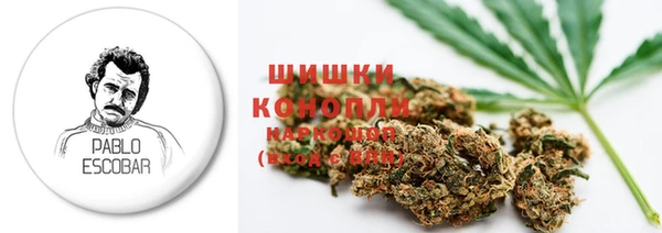 прущие крисы Богданович