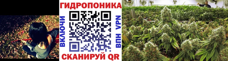 Бошки марихуана гибрид Озёрск